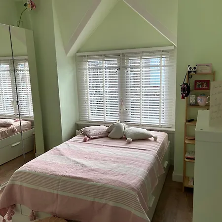 Spacious Family House In